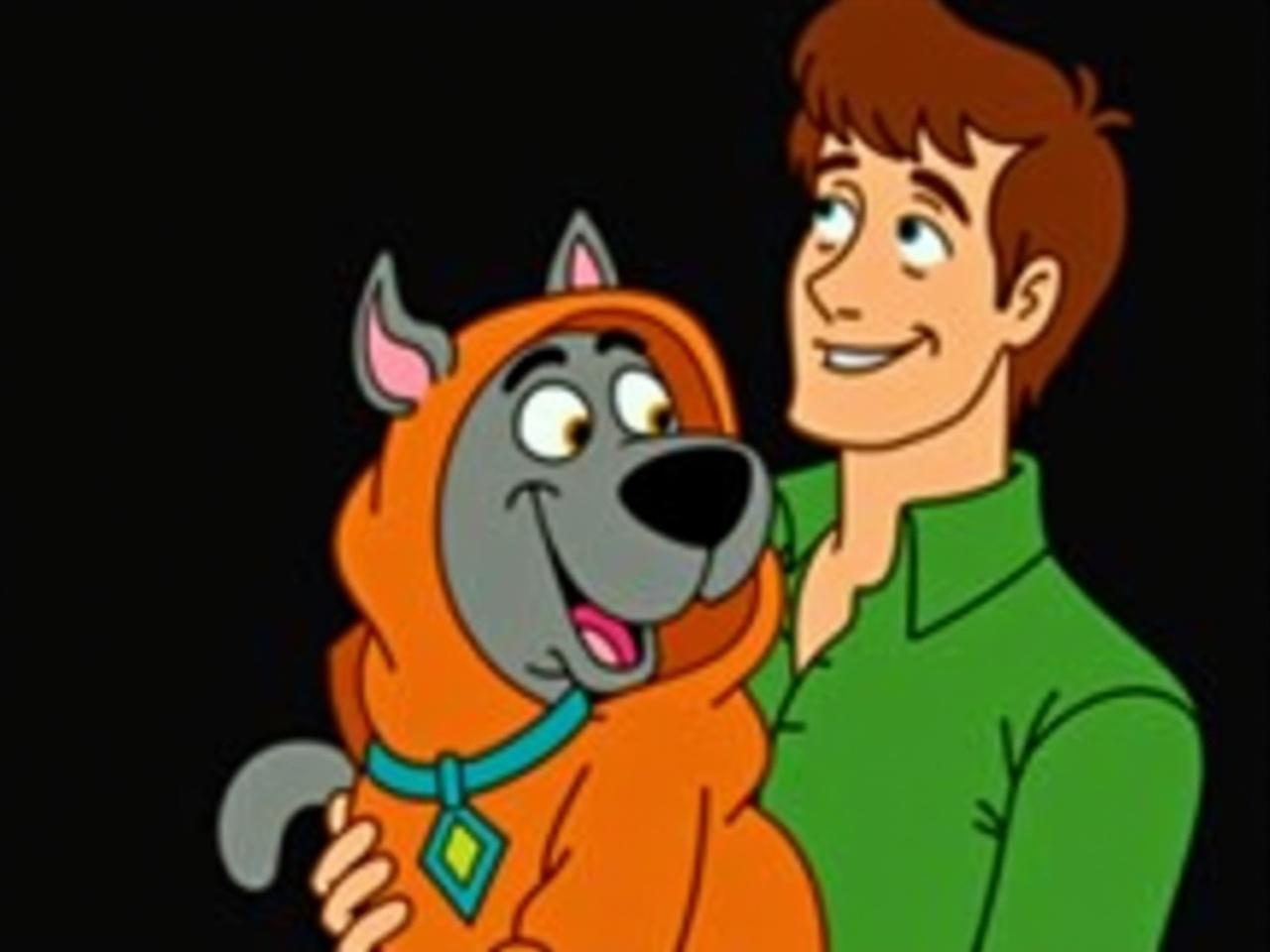 A playful scene with a cartoonish vibe reminiscent of the 90s Scooby-Doo theme. A person dressed in a bright green shirt is holding a mischievous-looking gray cat wrapped in an orange outfit reminiscent of Scooby-Doo's attire. The cat, with wide, curious eyes, seems to be enjoying the attention, while the person has a light-hearted expression. The background is a vibrant black, adding to the whimsical cartoon atmosphere. The overall color scheme includes bright greens and warm oranges, creating a fun and nostalgic feel typical of animated series from that era.