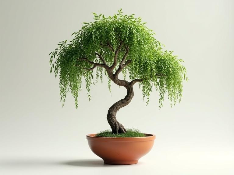 Modern graphic art illustration of a weeping willow tree. Realistic details with high contrast lighting. Tree features long curvy branches with sparse leaves. Simple background highlights the clay pot and tree's form.