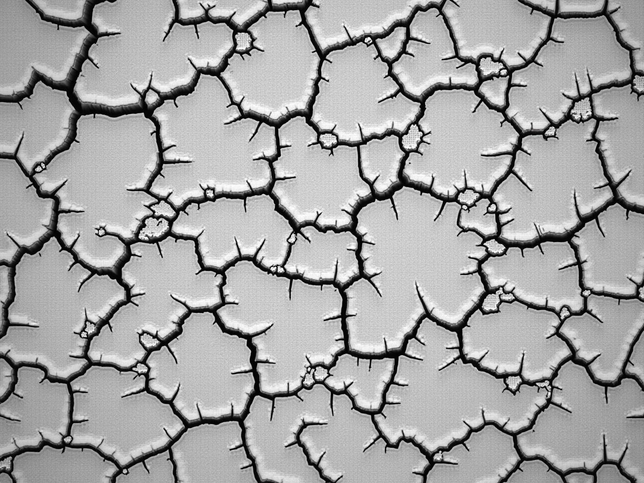 The image shows a close-up view of cracked, dry ground. The surface is textured with numerous fissures and irregular shapes, created by the lack of moisture. The colors are muted and grayscale, emphasizing the starkness of the dry earth. The cracks vary in size and shape, suggesting the effect of drought or extreme heat. Small patches of soil are visible in between the cracks, indicating a once fertile ground that has been desiccated. Overall, the image conveys a sense of barrenness and desolation.