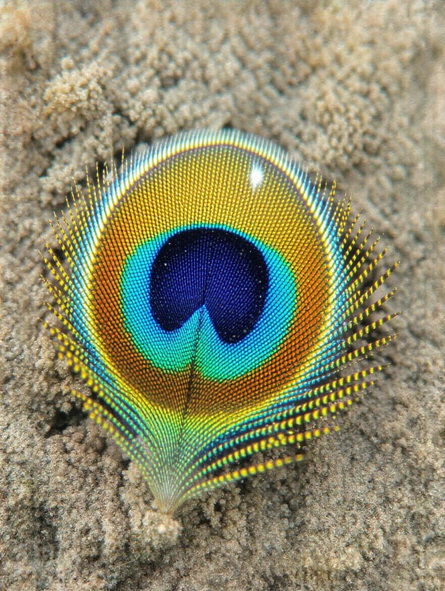 Close-up image of a peacock feather showing intricate details. The vibrant blue and gold colors create an artistic pattern. Style blends realism and fantasy in a macro photography approach.