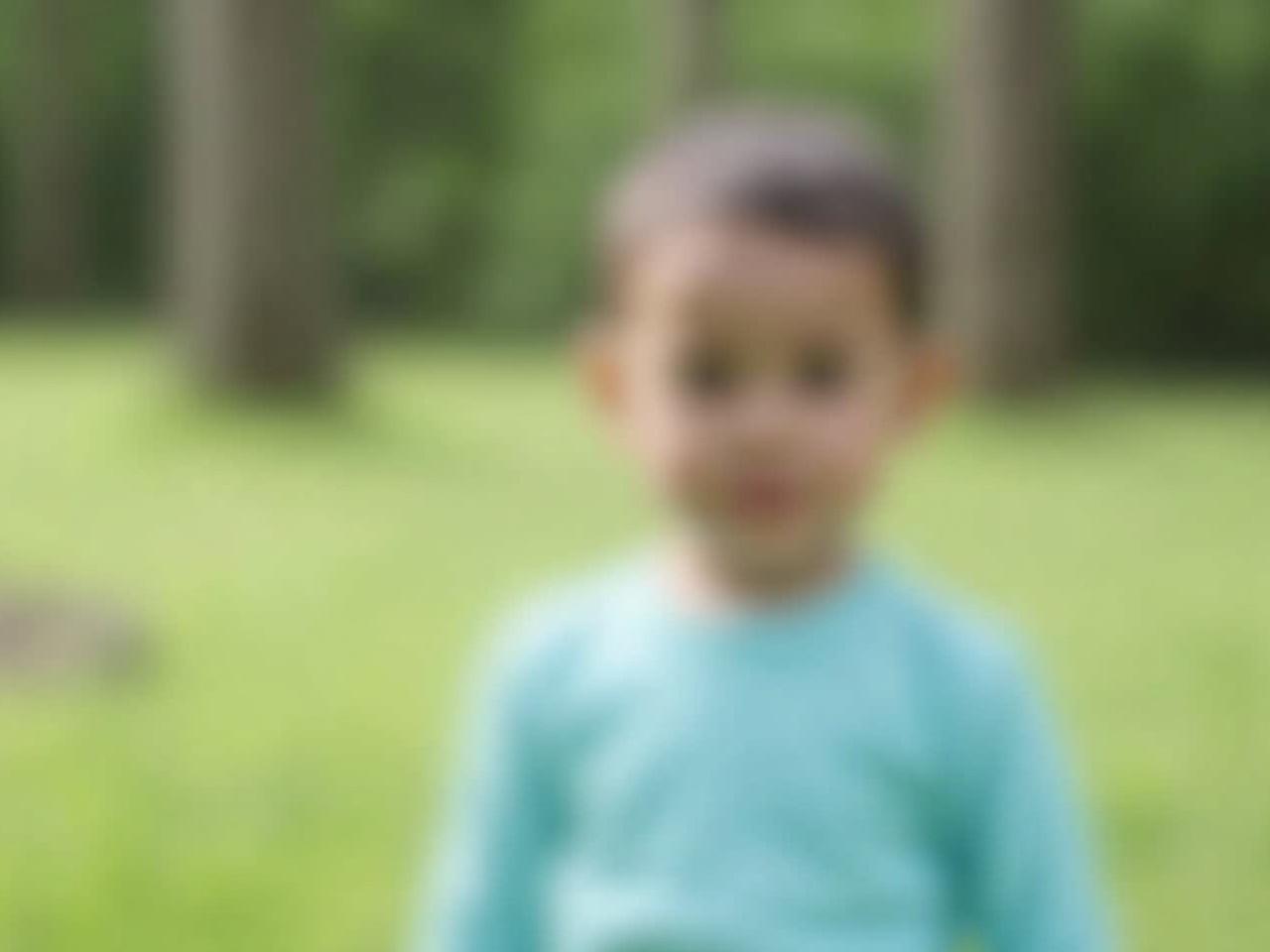 The image shows a young child standing in a natural outdoor setting. The background consists of green grass and some blurred trees, indicating a forested area. The child has short hair and is wearing a light blue shirt. They are facing the camera with a neutral expression. The setting appears to be tranquil and peaceful, suggesting a pleasant day outside.