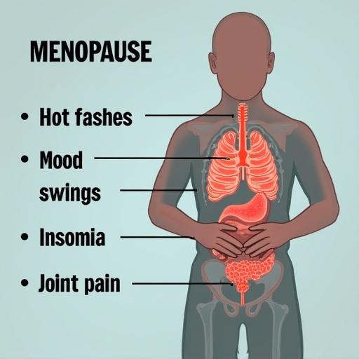 Illustration showing the silhouette of a person highlighting symptoms of menopause such as hot flashes mood swings insomnia and joint pain