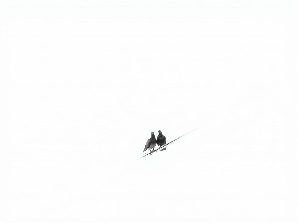 Two pigeons are perched closely together on a thin power line. They appear to be enjoying each other's company against a plain white sky. The scene is captured in black and white, giving it a calm and serene mood. The contrast between the dark pigeons and the bright background emphasizes their shapes and details. This image evokes a sense of companionship and peacefulness in nature.