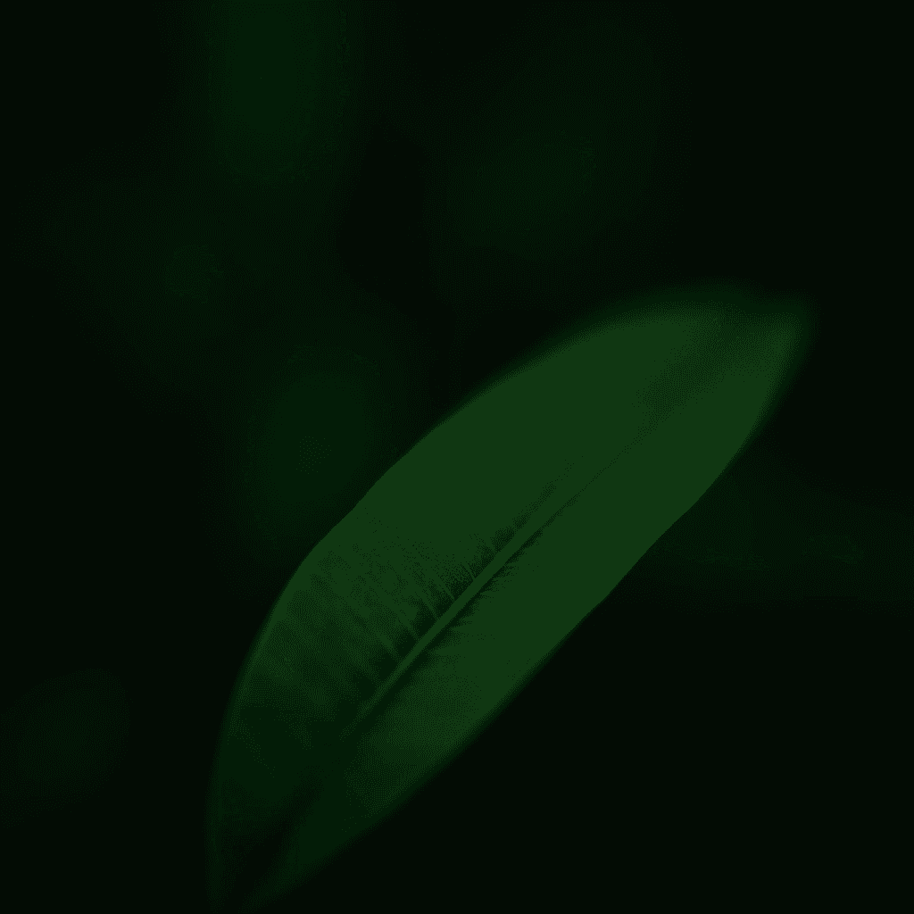 A single green leaf with subtle textures set against a dark, blurred background.