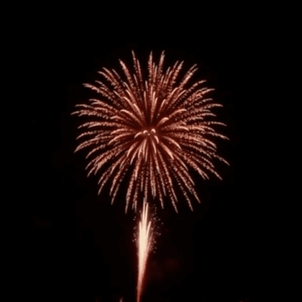 A vibrant firework explodes with brilliant sparkles against the night sky.