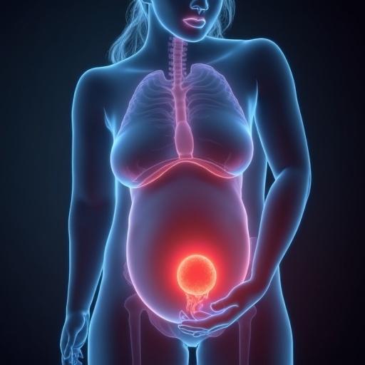 Illustration of a pregnant woman with focus on internal organs and tuberculosis aspects