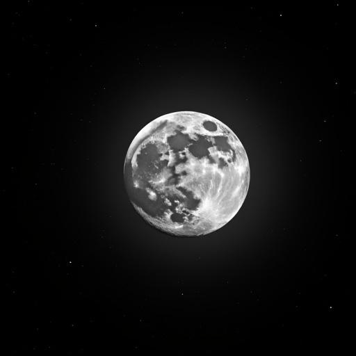 Black and white photograph of a full moon with detailed surface textures. Surrounded by small scattered stars in a starry night sky. Deep black background with no other objects or people. High quality realistic depiction of the moon and stars.