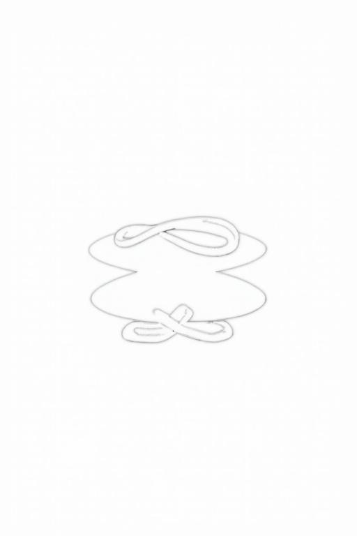A ring shown in different views with a simplified single outline. Representation suitable for AutoCAD in DWG format.