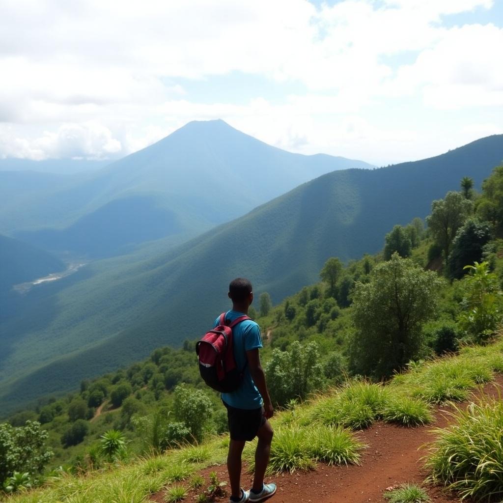 Person standing on the mountain slopes with a backpack. Lush green landscape and distant mountains in the background. Scenic view under a cloudy sky.