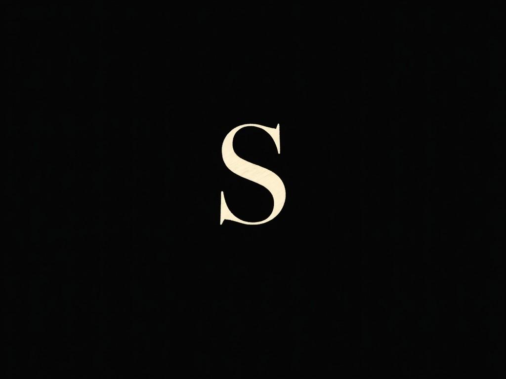 A single uppercase letter 'S' centered on a black background.