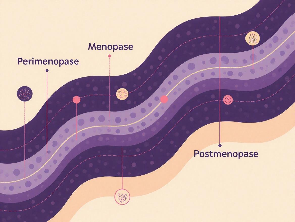 A visual timeline illustrating the different stages of menopause. Flowing path with distinct phases highlighting perimenopause, menopause, and postmenopause. Abstract symbols indicate fluctuating hormone levels in early stages and stable levels later.